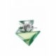 BELIEVE MUJER 100ML EDP BRITNEY SPEARS